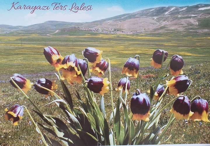 reklam alanı 3 (sağ taraf)